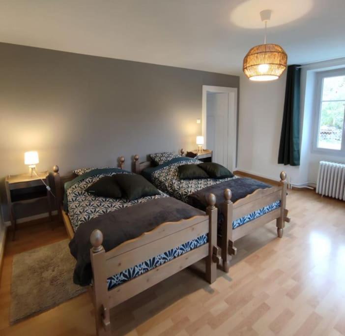 Apartment Cosy Avec Avec Jardin Et Parking Privatifs - Hautes Vosges