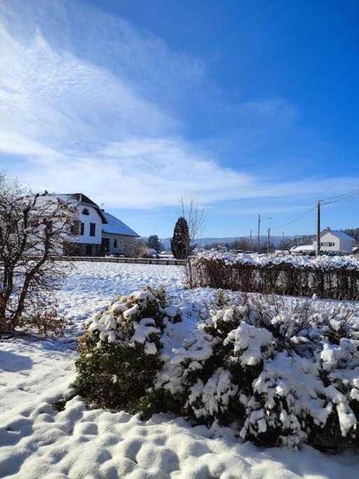 Apartment Cosy Avec Avec Jardin Et Parking Privatifs - Hautes Vosges